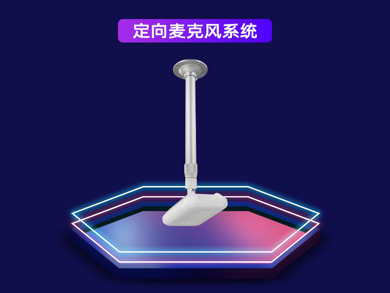 定向麥克風(fēng)系統(tǒng)